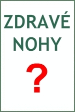 ORTO plus